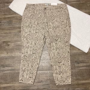 cato plus size jeggings